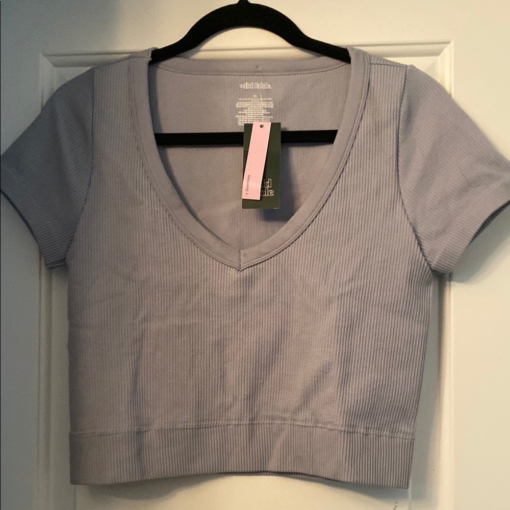 NWT Wild Fable Blue/Gray Fitted Crop T-Shirt